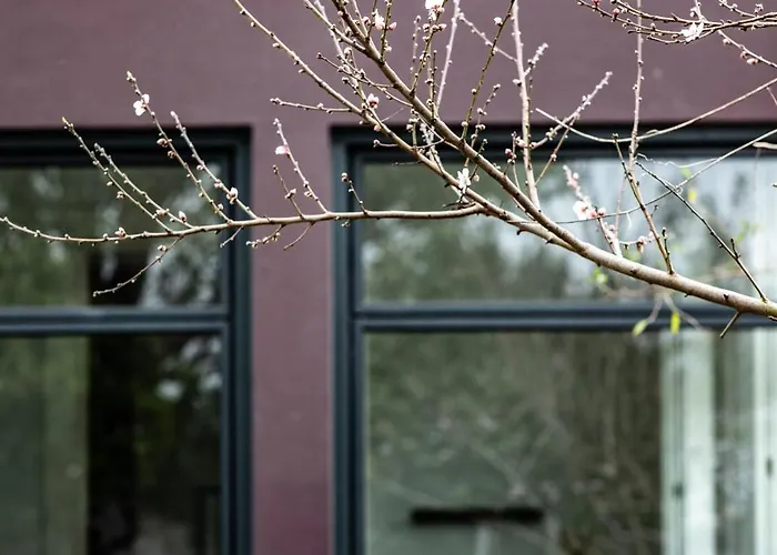 Apartment Pompeu Art Nouveau Aveiro