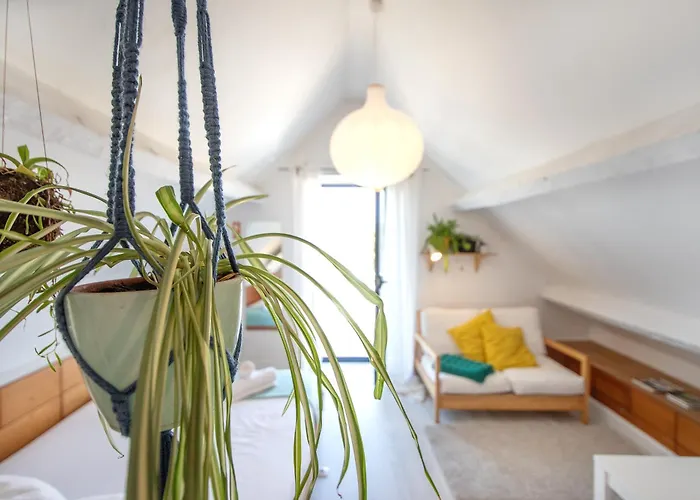 Pompeu Art Nouveau Apartment Aveiro